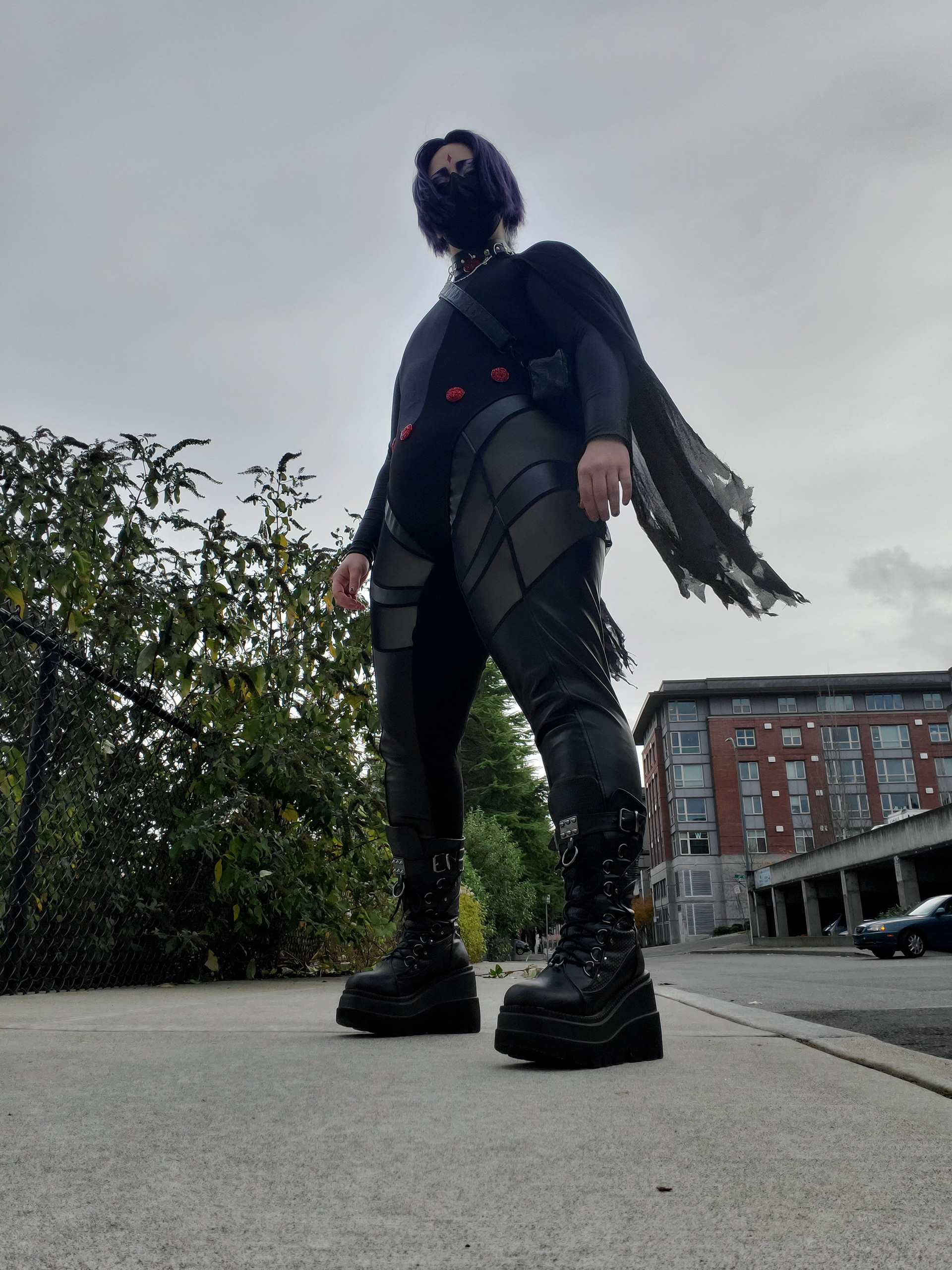 Raven